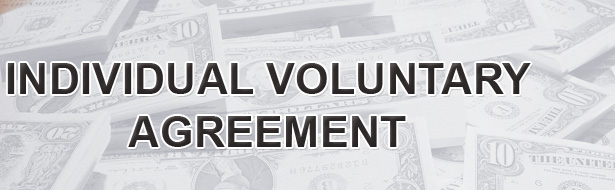 Individual Voluntary Agreement